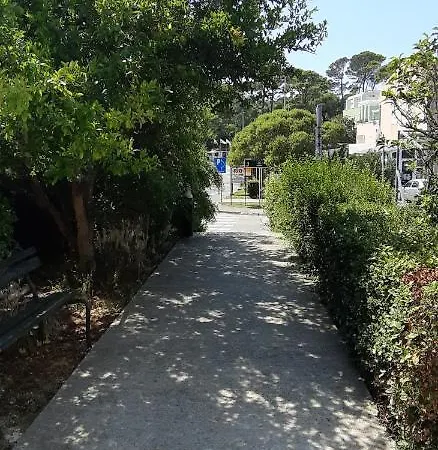 In *