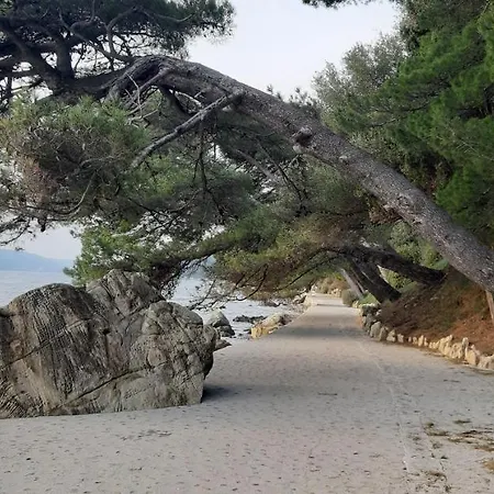 In * 라브