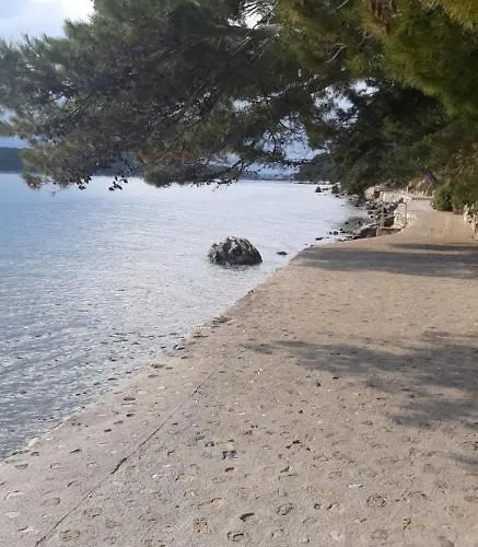 In 아파트 라브
